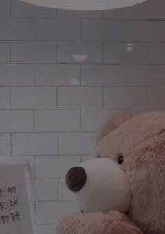 メンタル強めの姫.