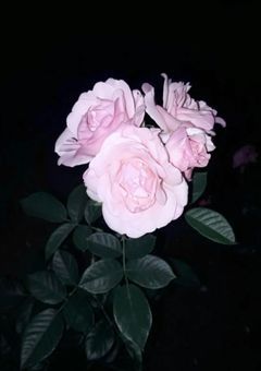 💘💘