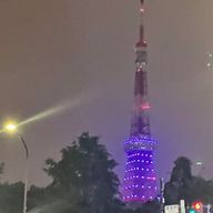 たたなっつさんのアイコン画像