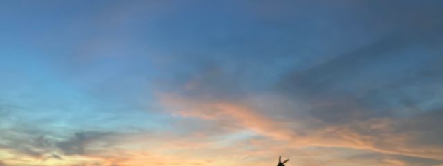 ひよこさんの壁紙画像