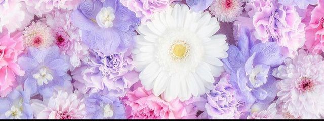 🩷𝒜ෆ‪🎀さんの壁紙画像