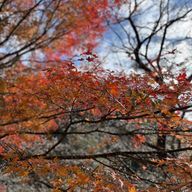 BLOOMさんのアイコン画像