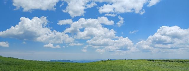 星ウサギ⭐️🐰さんの壁紙画像