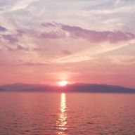 星ウサギ⭐️🐰さんのアイコン画像