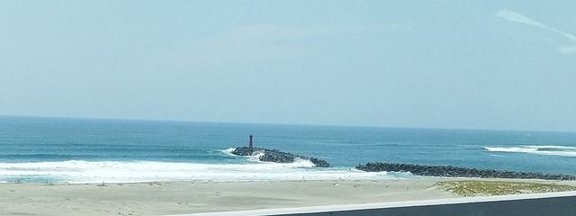 ねね ((o(´∀`)o))ワクワクさんの壁紙画像