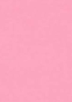 　推しにリアコする私は本人公認ストーカーになりました 。　