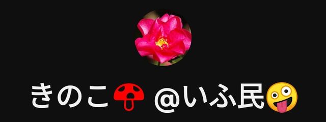 き の こ 🍄さんの壁紙画像