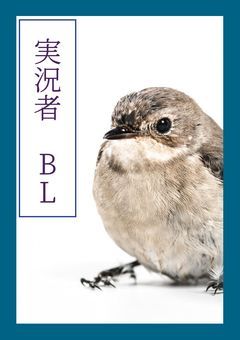 実況者　R18(自給自足)