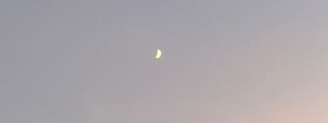 雫 (プリチューバー垢)さんの壁紙画像