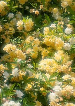 　#　着せ替え人形