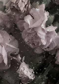 　#　噂のセンパイ