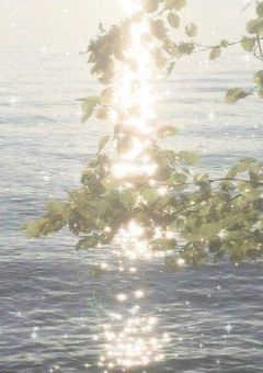 　Tag𐙚 ‌˚　