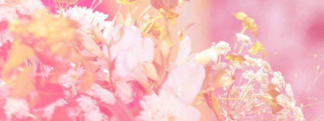 わらび餅さんの壁紙画像