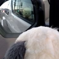 わらび餅さんのアイコン画像