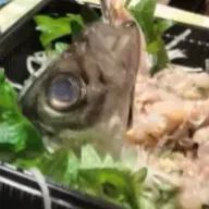 そうめんさんのアイコン画像