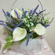 lilyさんのアイコン画像