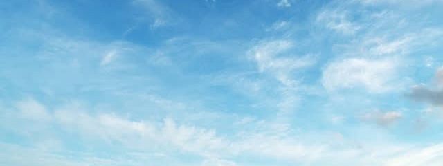 和猫さんの壁紙画像