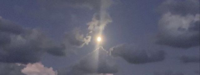 い ち ご ら て   さんの壁紙画像