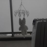 みやさんのアイコン画像