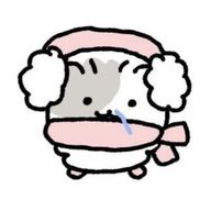 aeilさんのアイコン画像