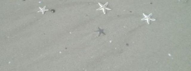 iiiさんの壁紙画像