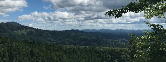 ごましおさんの壁紙画像