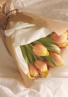 巷で噂のktm夫妻