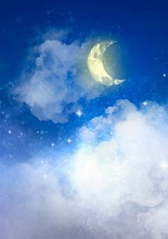 ＃ ＿＿ Chat  Pièce 。