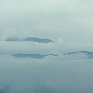 Riaさんのアイコン画像