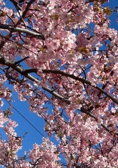 　　~　　雑　　談　　　　~