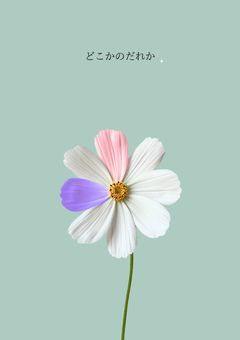 どこかのだれか