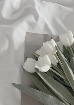 ꒰　𝙘𝙝𝙖𝙩 𝙧𝙤𝙤𝙢 💬　꒱