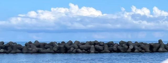 オリーブさんの壁紙画像