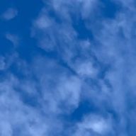 ここらさんのアイコン画像