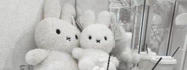 🐿🐰RINA🧢🐧さんの壁紙画像