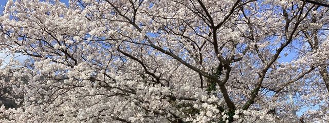 どM月狐(元睦月夜風)5/12実写語尾♡甘えさんの壁紙画像