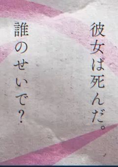 氷炎の断罪  ネストの記録者 『ヒーローに捧げた憎悪』