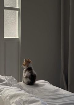 お隣の教師さん。