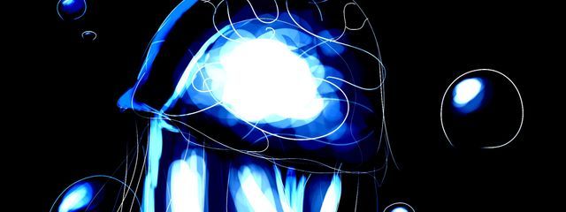 Mohuporoさんの壁紙画像