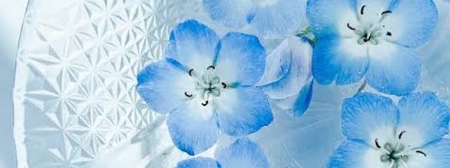 𝑺𝒖𝒓𝒂💙さんの壁紙画像