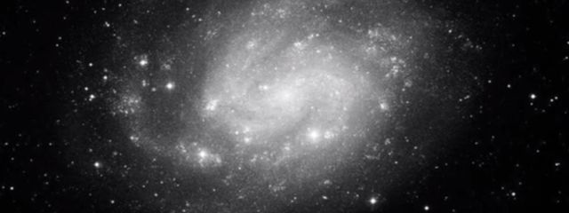 ゆさんの壁紙画像