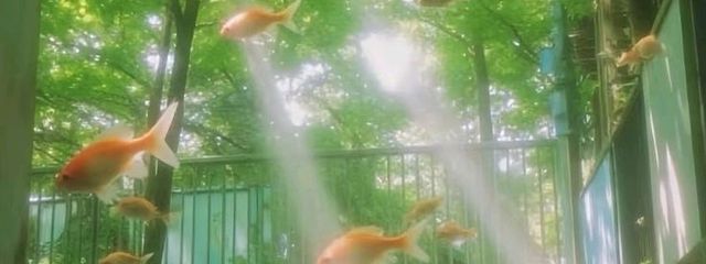 サタンオオカブトさんの壁紙画像