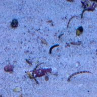 うみさん（何も書けないゴミカス）さんのアイコン画像