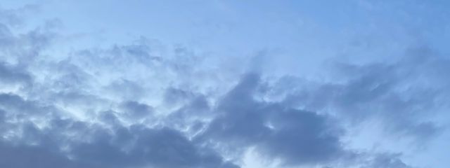 🤍미미🤍さんの壁紙画像