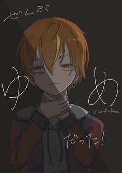 　ぜんぶゆめだった　！