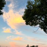 かりんとうさんのアイコン画像