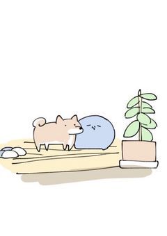 柴犬飼い始めました【rd】