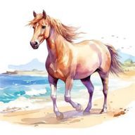 Cocoaさんのアイコン画像