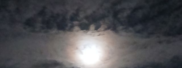 しぐ。@低浮上さんの壁紙画像