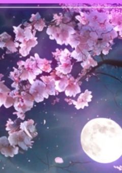❇古ニ咲ク夜ノ姫❇配信部屋